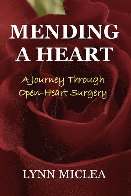 bokomslag Mending a Heart: A Journey Through Open-Heart Surgery