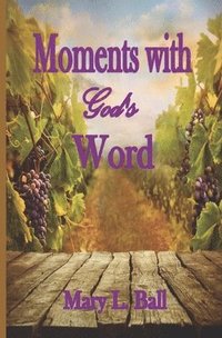 bokomslag Moments with God's Word