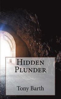 bokomslag Hidden Plunder