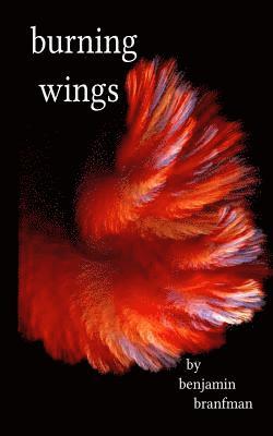 bokomslag Burning Wings