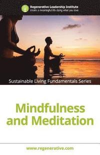 bokomslag Mindfulness and Meditation