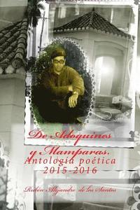 bokomslag De Adoquines y Mamparas: Antología Poética 2015-2016