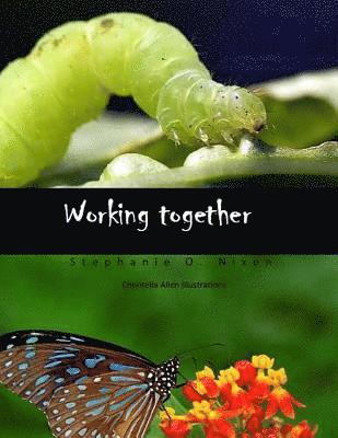 Working together 1