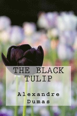 bokomslag The Black Tulip