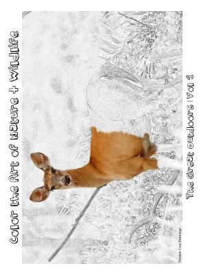 Tiffany Skora - The Great Outdoors [Line Drawings]: Color the Art of Nature + Wildlife, Häftad