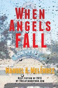 bokomslag When Angels Fall
