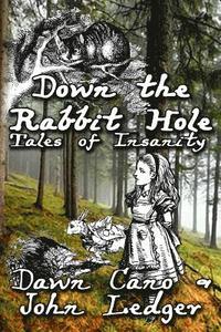 bokomslag Down the Rabbit Hole: Tales of Insanity