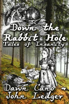 Down the Rabbit Hole: Tales of Insanity