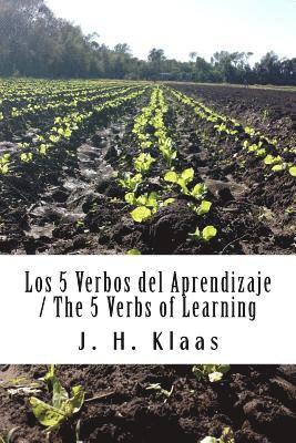 Los 5 Verbos del Aprendizaje / The 5 Verbs of Learning: Serie 2 /Series 2 1