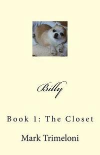 bokomslag Billy: Book 1: The Closet