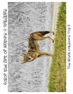 Tiffany Skora - The Great Outdoors: Color the Art of Nature + Wildlife, Häftad