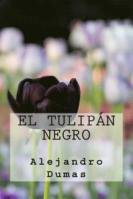 Alejandro Dumas - El Tulipan Negro (Spanish Edition), Häftad