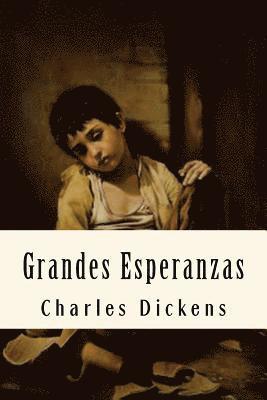 bokomslag Grandes Esperanzas (Spanish Edition)