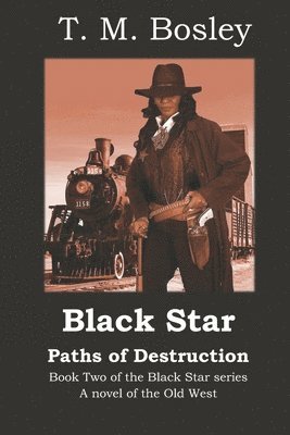 bokomslag Black Star: Paths of Destruction: Book 2 of the Black Star series