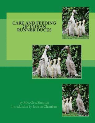 bokomslag Care and Feeding of Indian Runner Ducks