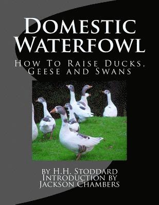 bokomslag Domestic Waterfowl: How To Raise Ducks, Geese and Swans