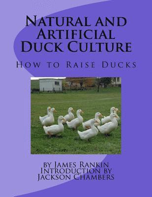 Natural and Artificial Duck Culture: How to Raise Ducks 1