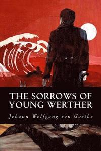 bokomslag The Sorrows of Young Werther