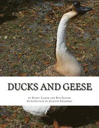 bokomslag Ducks and Geese