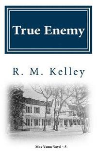 bokomslag True Enemy