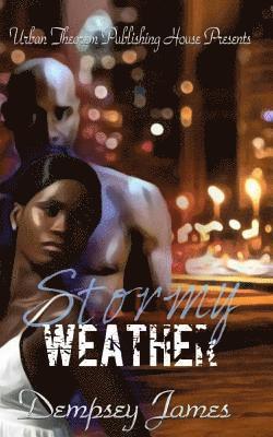 Dempsey James - Stormy Weather, Häftad