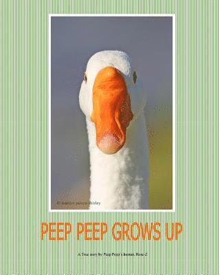 bokomslag Peep Peep Grows Up
