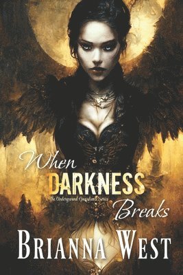 When Darkness Breaks 1