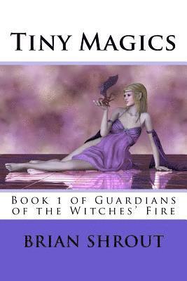 Brian Shrout - Tiny Magics: Book 1 of Guardians of the Witches' Fire, Häftad