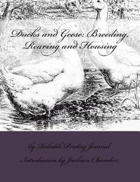 bokomslag Ducks and Geese: Breeding, Rearing and Housing