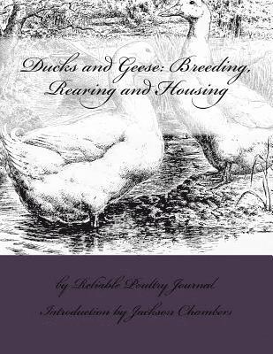 Ducks and Geese: Breeding, Rearing and Housing 1