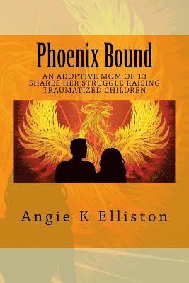 bokomslag Phoenix Bound: An adoptive mom of 13 shares her struggle raising traumatized children