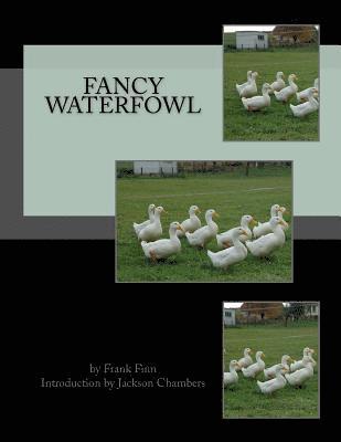 Frank Finn - Fancy Waterfowl, Häftad