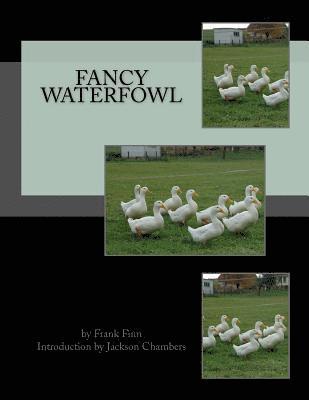 Fancy Waterfowl 1