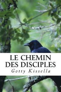 bokomslag Le Chemin des Disciples: Des Ténèbres à la Lumière