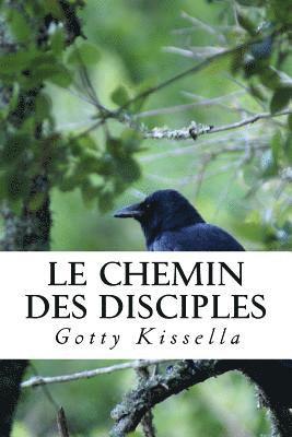 bokomslag Le Chemin des Disciples: Des Ténèbres à la Lumière