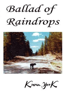 Kieran York - Ballad of Raindrops, Häftad