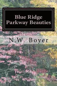 bokomslag Blue Ridge Parkway Beauties: 2nd Edition