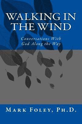 bokomslag Walking in the Wind: Conversations With God Along the Way