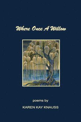 bokomslag Where Once A Willow: They heard 'Eminent Domain' and 'Just Compensation', but they felt the piercing pain of loss-- loss of their homes alo