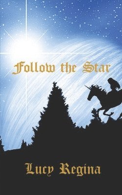 bokomslag Follow the Star