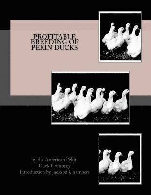 Profitable Breeding of Pekin Ducks 1