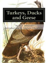 bokomslag Turkeys, Ducks and Geese: Breeding, Hatching and Rearing For Pleasure or Profit