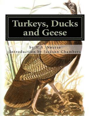 bokomslag Turkeys, Ducks and Geese: Breeding, Hatching and Rearing For Pleasure or Profit