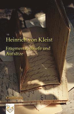 Fragmente, Briefe und Aufsätze (Großdruck) 1