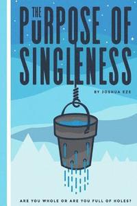 bokomslag The Purpose of Singleness: Are you whole or are you full of holes
