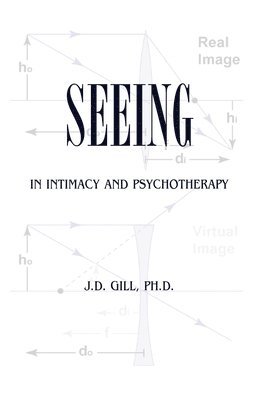 bokomslag Seeing in Intimacy and Psychotherapy