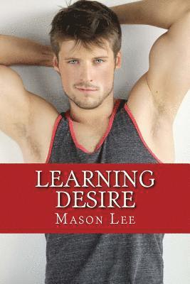 bokomslag Learning Desire