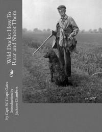 bokomslag Wild Ducks: How To Rear and Shoot Them