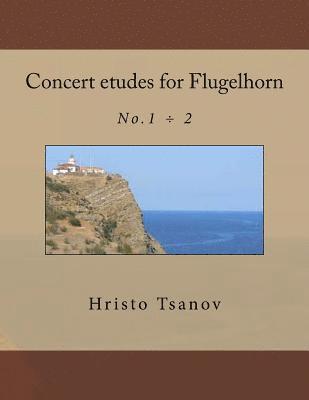 bokomslag Concert etudes for Flugelhorn