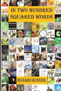 bokomslag In Two Hundred Squared Words